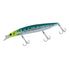 DAIWA Shoreline Shiner Z Vertis R125S 30th Limited Edition Color Color Chart Sardine