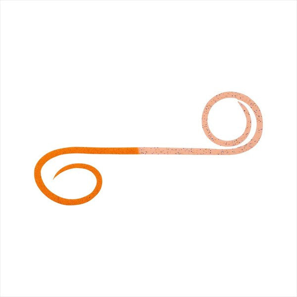 DAIWA Kouga Silicone Necktie High Speed Twin Curly Orange Glitter + Keimura Orange