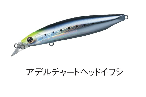 DAIWA Shoreline Shiner Z Vertis R98F Adel Chart Head Sardine