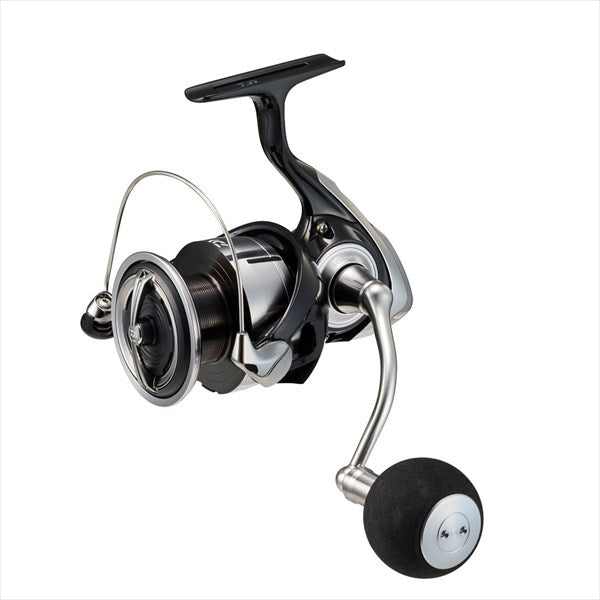 DAIWA Spinning Reel 23REGZA LT5000-C