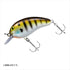 DAIWA Bass Lure Peanut SSR Pound Gill