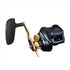 DAIWA Baitcasting Reel Tierra LJ IC300H (Right)