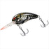 DAIWA Bass Lure Wild Peanuts Halloween Claw