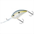 DAIWA Bass Lure Steez Crank 300 Sexy Shad