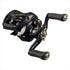 DAIWA Baitcasting Reel 24 TATULA TW 100L (Left)