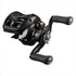 DAIWA Baitcasting Reel 24 TATULA TW 100XHL (Left)