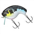 DAIWA Bass Lure Daifuku Zero Tiger Pufferfish