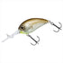 DAIWA Bass Lure Steez Crank 200 Sasamugoriki Special