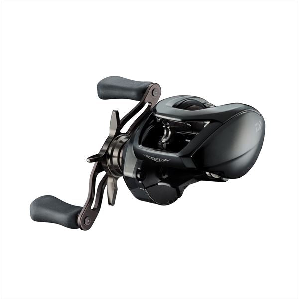 DAIWA Baitcasting Reel 24 Steez SV TW 100H (Right)