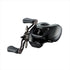 DAIWA Baitcasting Reel 24 Steez SV TW 100H (Right)