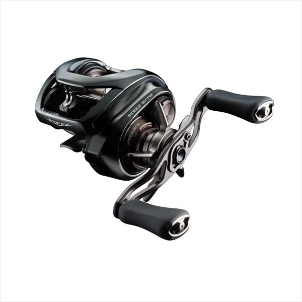DAIWA Baitcasting Reel 24 Steez SV TW 100HL (left)
