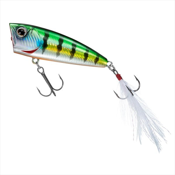 DAIWA Bass Lure Steez Popper 60F Adelgil