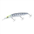 DAIWA Seabass Lure Shoreline Shiner Z Set Upper Laser Impact 125SDR-LI LI Chart Head Sardine