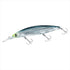 DAIWA Seabass Lure Shoreline Shiner Z Set Upper Fullback 125SDR-LI LI Konoshiro