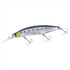 DAIWA Seabass Lure Shoreline Shiner Z Set Upper Fullback 125SDR-LI LI Sardine