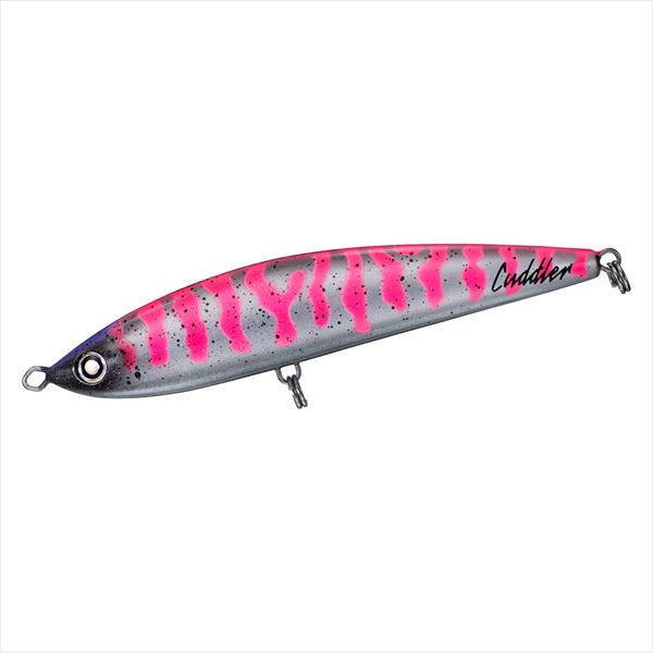 DAIWA Offshore Plug Saltiga Cuddler 185F Pink Back