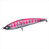 DAIWA Offshore Plug Saltiga Cuddler 185F Pink Back