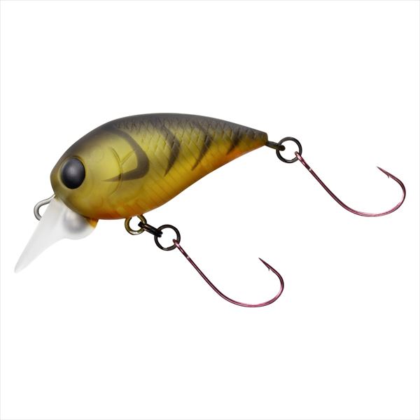 DAIWA Hazekura MR Clear Gold Striped Shrimp