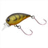 DAIWA Hazekura MR Clear Gold Striped Shrimp