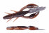 OSP Worm Drive Claw 3 inch TW146 Shrimp Miso Black