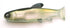 RAID JAPAN Bass Lure Osakana Swimmer 145mm The Bait