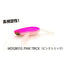 RAID JAPAN Worm Micro Dodge BIG 010. Pink Trick