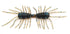 RAID JAPAN Worm Micro Two-Way 020 Dark Cinnamon Blue Flake