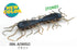 RAID JAPAN Worm Magnum 2WAY 084. Blue Miso