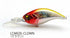 RAID JAPAN Bass Lure Level Crank MID 020.Crown