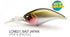 RAID JAPAN Bass Lure Level Crank MID 021.Bait Japan