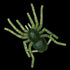 Gancraft Worm Big Spider Micro #29 Glass Melon Shrimp