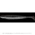 IMAKATSU ANKLE MINNOW 3 inch (Eco) 414 Silver Shiner