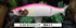 GAN CRAFT Bass Lure Jointed Claw Kai 148F K-04 Site Pink