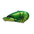 Issey G.C. The Revive 67 Green Crayfish