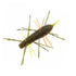 G-Crack Worm Caterpillar 40 #341 Crazy Bug