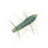 G-CLACK Worm Caterpillar 40mm (Floating) #286 Weed Special