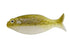 D-Style Worm GILLUULA 3.5 inch Camo