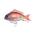 Little Jack Charicom 50mm #02 Red Sea Bream (SEA BREAM)