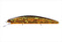 OSP Bass Lure Varuna 110F H04 Black Gold Orange Berry