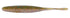 OSP DoLive Stick 4.5 inch Natural Sunfish