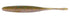 OSP DoLive Stick 6 inch Natural Sunfish