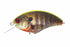 OSP Bass Lure Rattlin'BLITZ-MAX RP07 Matte Chartback Real Gill
