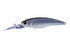 OSP Bass Lure High Cut DR-F PC91 Tasty Smelt