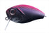 OSP Bass Lure CO-BUZZN' MT29 Matte Black Pink