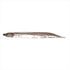 Fish Arrow Flash J Icefish 3 inch Feco #F07F Smelt