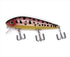 Fish Arrow Bass Lure Wild Waker High Float T01 14K Coach Dog (Exhibition Limited Color)