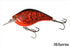 Ichikawa Fishing RC King Kong Shad 10 1006 Sunrise