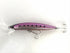 Sieg Surf, Gravity Minnow 95 Burning Sardine