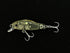 Sieg Zelz Floating Minnow 3.6cm Neon Glitter