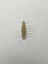 IMAKATSU Sanprotozoa 40 (Eco-Friendly Product) #S-364 Lake Shrimp